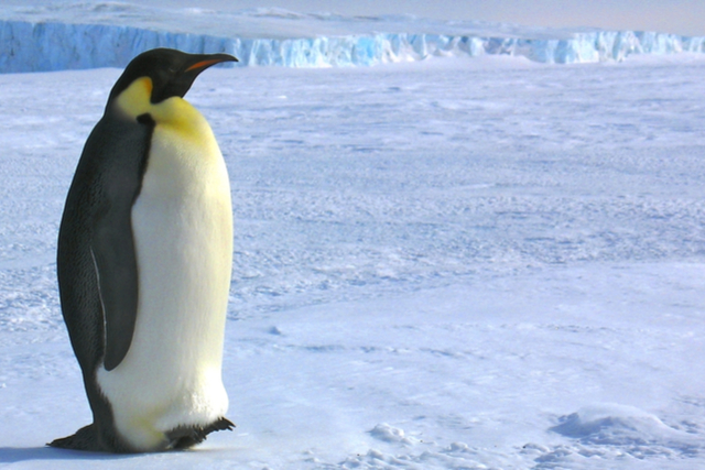 極寒の地が熱い 年に南極大陸の地価上昇 The Watch 三菱地所リアルエステートサービス